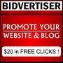 bidvertiser coupon